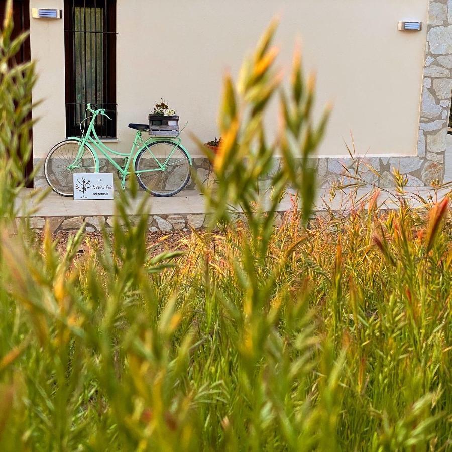 La Siesta Del Naranjo Villa Monesterio Eksteriør bilde