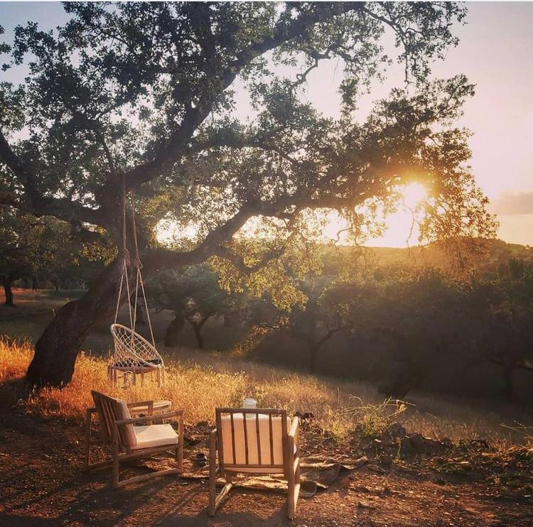 La Siesta Del Naranjo Villa Monesterio Eksteriør bilde